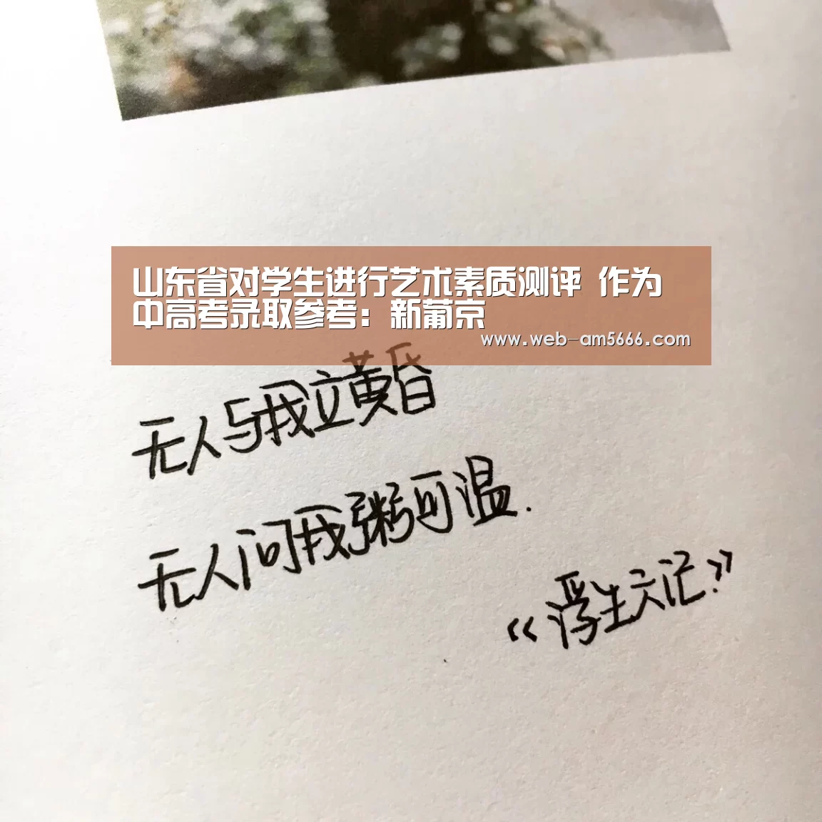 新葡京